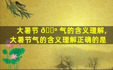 大暑节 🐺 气的含义理解,大暑节气的含义理解正确的是